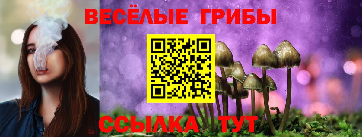 Галлюциногенные грибы ЛСД Волжский